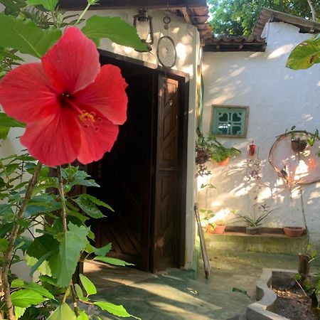 Conjunto Sol Roots Villa Praia de Pipa ภายนอก รูปภาพ